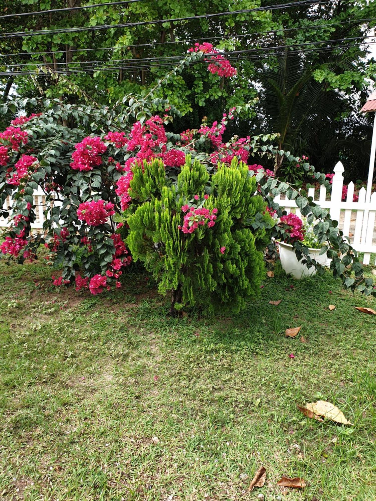 Authentique La Digue